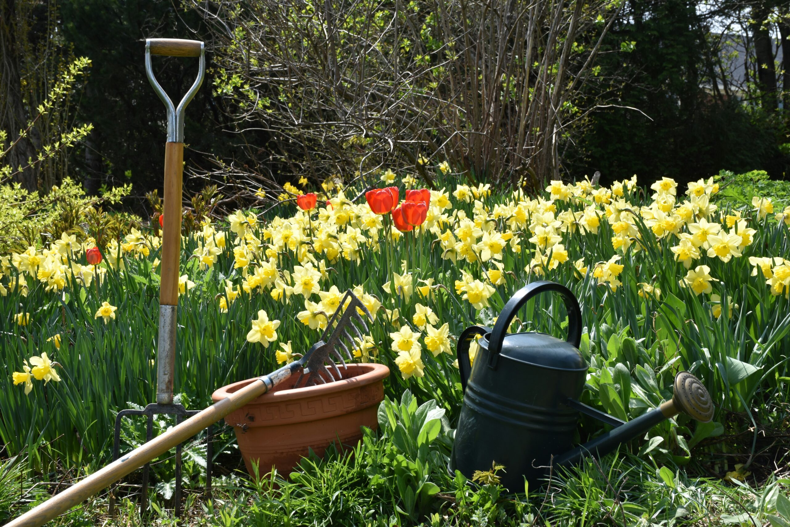 gardening tools in front of a flower bed