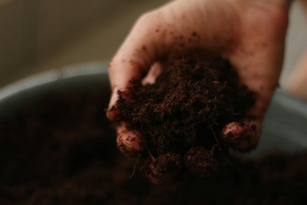 Hands holding rich dark compost soil for garden amendment